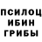 Псилоцибиновые грибы мицелий Inkvizitor Velikii