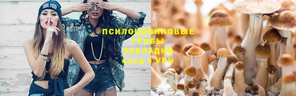 индика Балабаново
