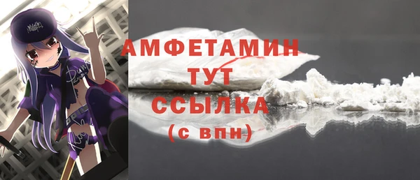 индика Балабаново