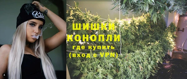 индика Балабаново