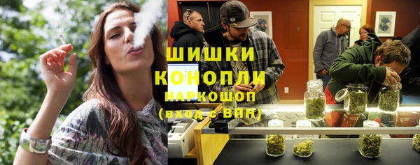 индика Балабаново