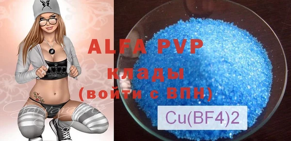 индика Балабаново