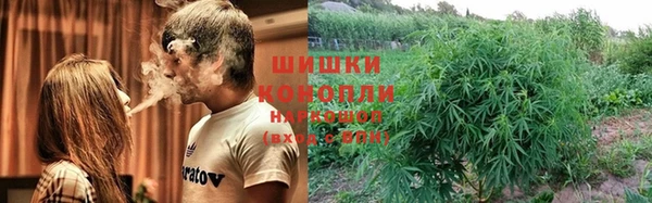 трава Балахна