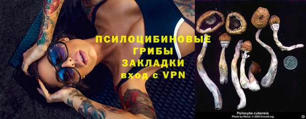 мдпв Баксан