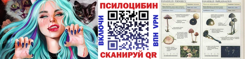 Псилоцибиновые грибы GOLDEN TEACHER  Балей 