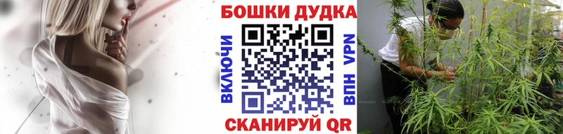 Шишки марихуана THC 21%  Балей 